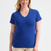 Ladies Classic V-Neck T-Shirt